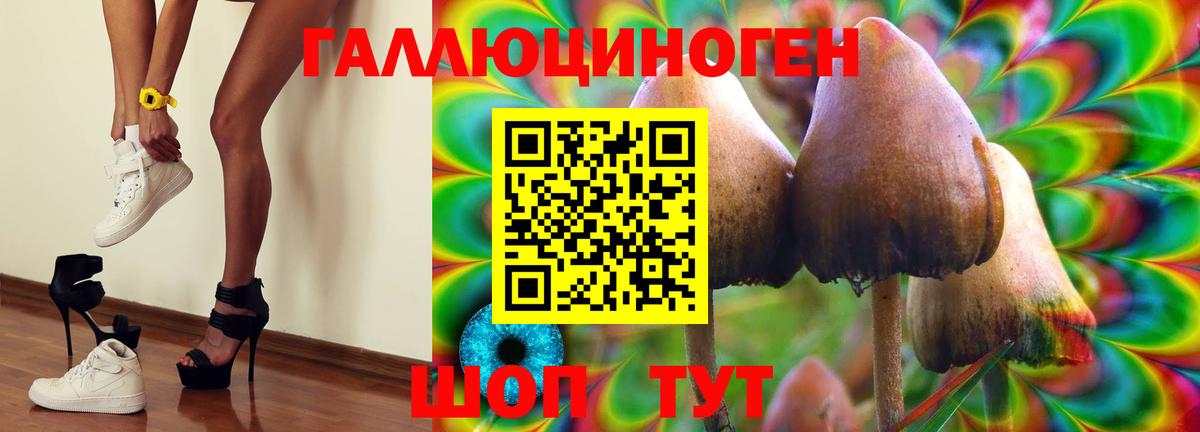Псилоцибиновые грибы ЛСД  Вход с VPN  Галлюциногенные грибы Cubensis  Мурино 